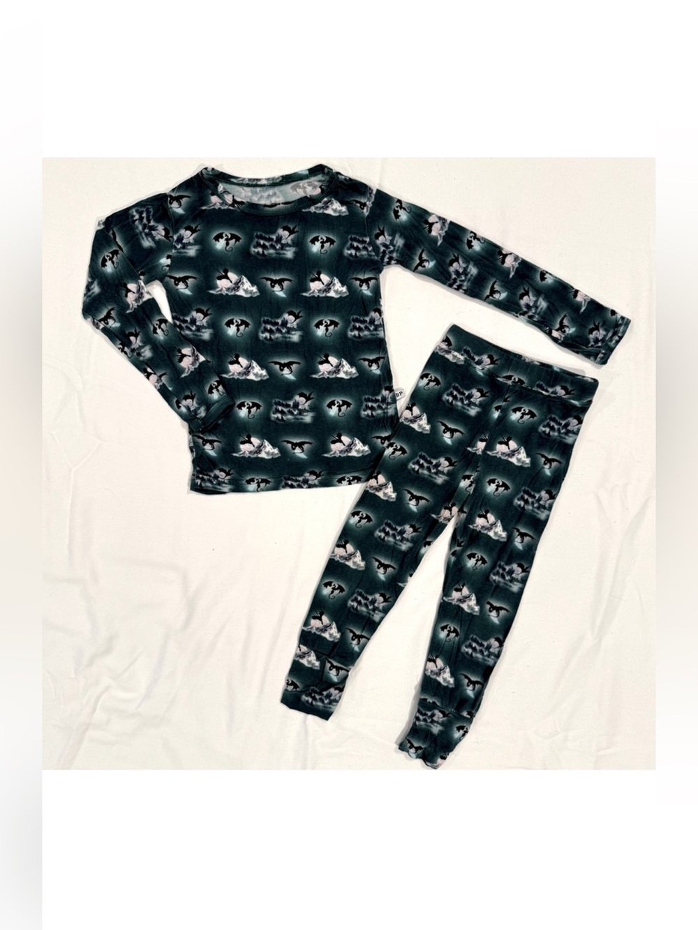 Brooke and Peyton Bamboo Dragons Pajamas Boys 2T Girls 2-Piece Set Winged Flying